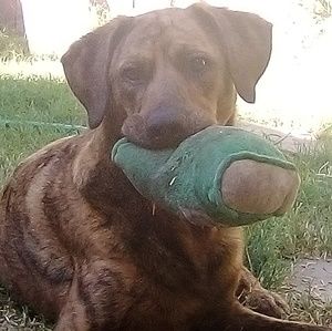 Meet your Posher, Judy